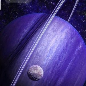 Meet your Posher, Michelle